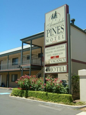 Отель Armidale Pines Motel  Армидейл